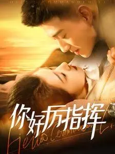 你好厉指挥 海报