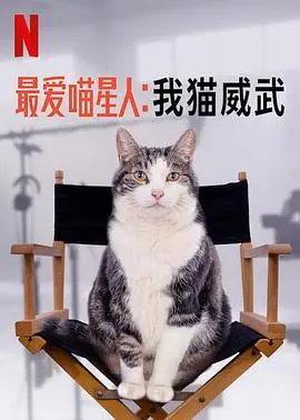 《最爱喵星人：我猫威武》：铲屎官必看！爆笑又暖心的喵主子统治地球指南！
