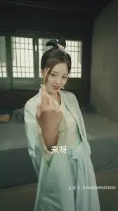 《宫廷医圣》：揭秘古代医术传奇，看小人物如何逆袭成国之栋梁！