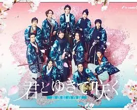 《与你一起绽放 新选组青春录》：热血青春的武士道诗篇，剑指幕末的羁绊！