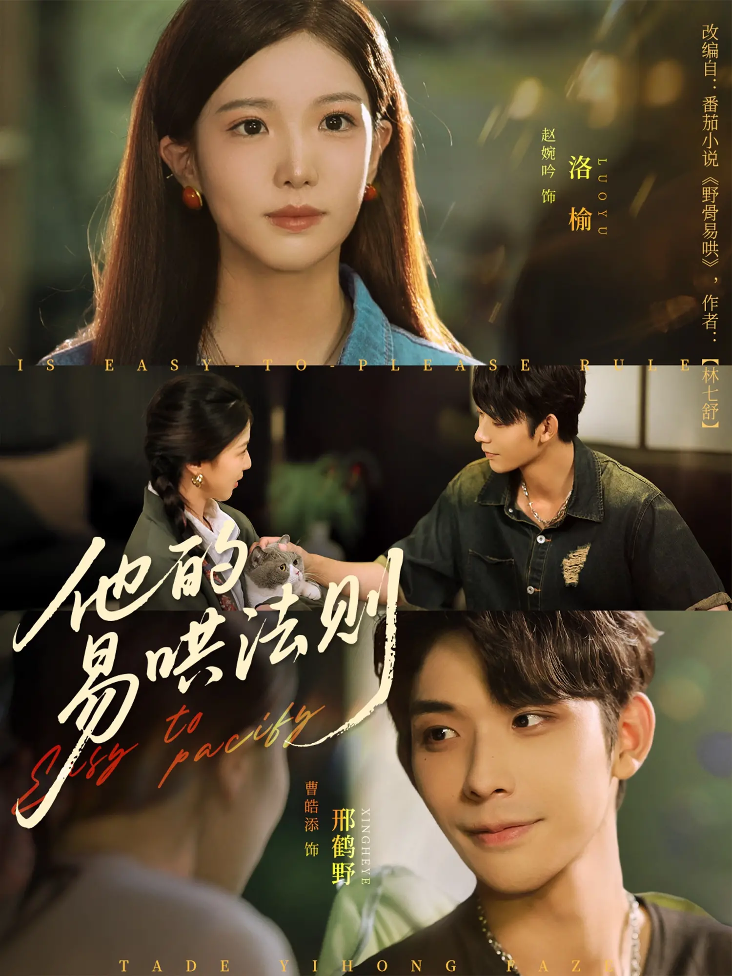 《他的易哄法则》：傲娇霸总的恋爱宝典，看腹黑男主如何甜蜜追妻！